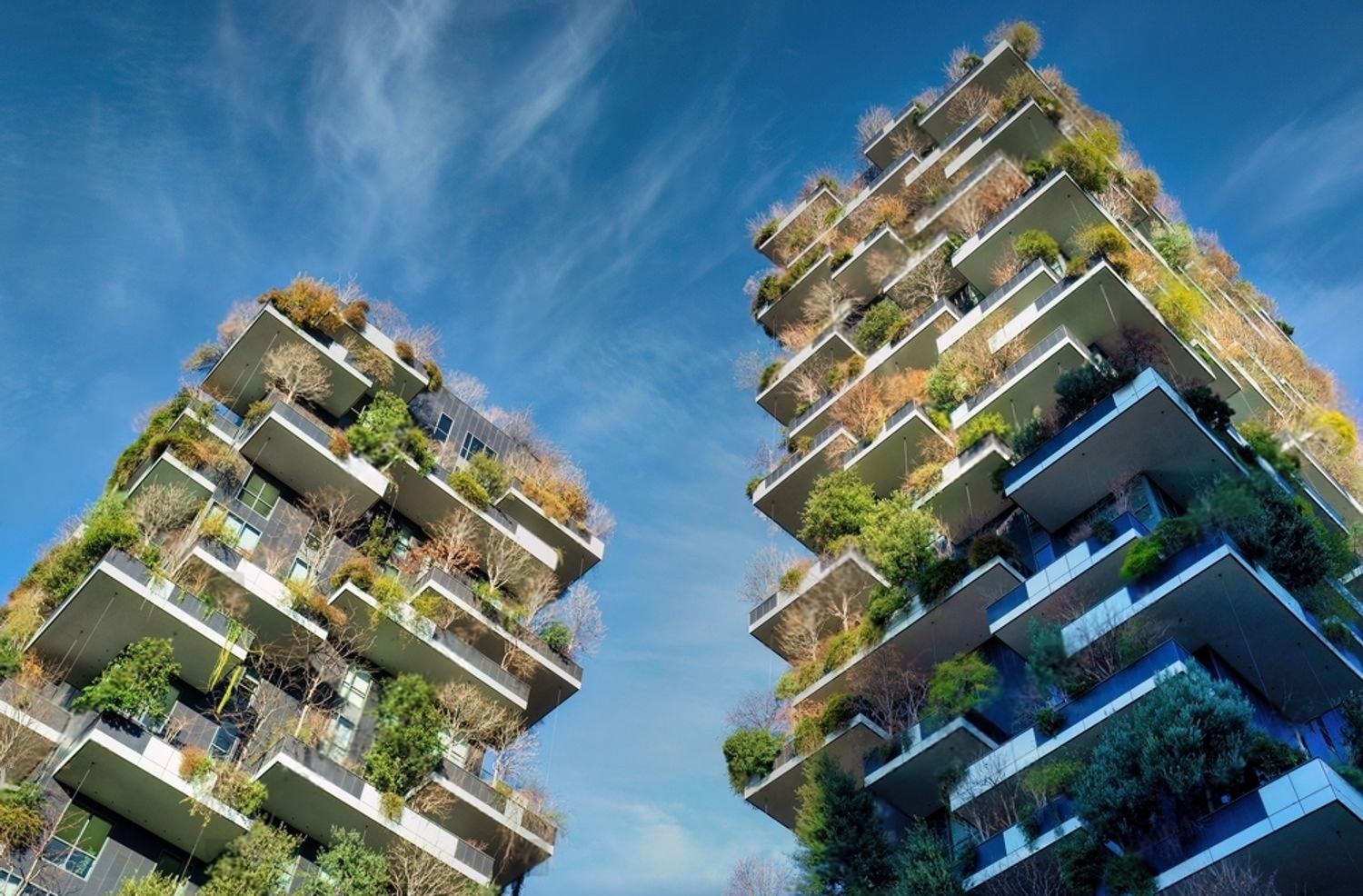 Construction et urbanisme : réglementation et bonnes pratiques